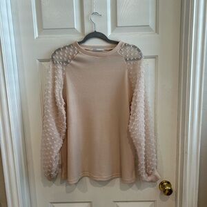 Elegant Blush Pink Sheer Sleeve Top